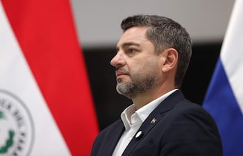 El vicepresidente Pedro Alliana.