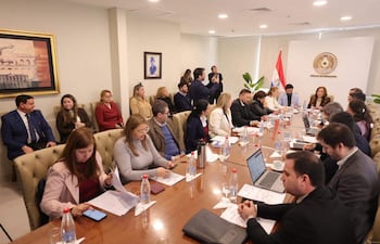 Lourdes Noelia Cabrera Petters revisa documentos en reunión formal, rodeada de miembros de la comisión de Salud del IPS.