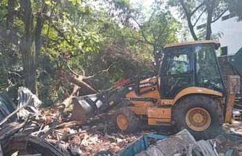 Varios árboles fueron derribados durante el procedimiento de desalojo.