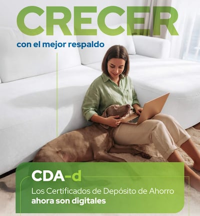 Mujer con camisa verde claro sentada en el suelo, sosteniendo un perro marrón claro sobre su regazo mientras usa una laptop.