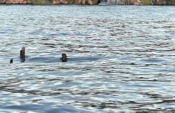 Postes de madera que sobresalen del lago Ypacaraí serían parte de la etructura de la toma de agua de la Essap, según denuncian.