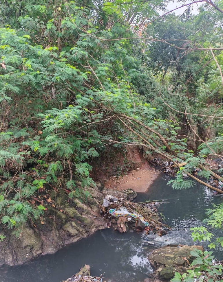 Paisaje natural del arroyo Ferreira con agua fluida y desechos plásticos a la orilla, en un ambiente silvestre y descuidado.