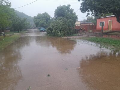 La fuerza del viento derribo un añejo árbol, mientras que la gran cantidad de agua caída, inundo por momento las calles de la población.