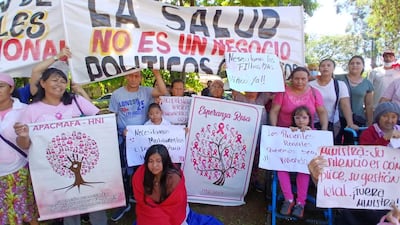La imagen muestra a un grupo de aproximadamente 20 personas participando en una manifestación al aire libre, rodeadas de vegetación. La mayoría de los presentes son mujeres, algunas llevan camisetas rosa, lo que puede indicar una asociación con la causa del cáncer de mama. Una mujer en el centro sostiene una pancarta que dice "APACMAFA - HNI", que representa a una asociación de pacientes de cáncer.
Se observan varias pancartas con mensajes como "La salud no es un negocio" y "Necesitamos medicamentos", indicando que la protesta está relacionada con la atención médica y los tratamientos. Dos niños están presentes, uno en primer plano sosteniendo un cartel.
El entorno es luminoso y parece ser un espacio público, probablemente en una plaza o parque. Los participantes muestran expresiones de determinación y preocupación, mientras que algunos levantan carteles o pancartas. No se identifican figuras públicas ni equipos de fútbol en la imagen.