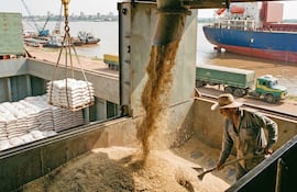 El arroz paraguayo apunta a México para escapar del apego brasileño