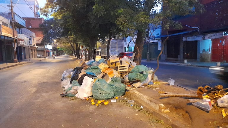 Gran cantidad de basura sobre el paseo central de la avenida Rodríguez de Francia, este lunes 7 de agosto.