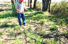 Cables de Copaco encontrados tras robo.