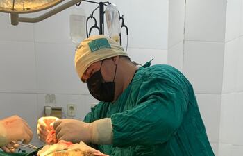 Operan a jaguarete hembra de ocho años de la Fundación Mary Llorens que vive en el Jardín Botánico y Zoológico de Asunción.