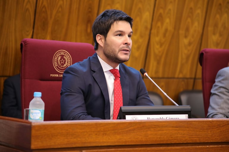 El ministro del Minna, Walter Giménez este lunes en el curso de la defensa de su presupuesto para el año que viene. (Foto: Gentileza Congreso Nacional).