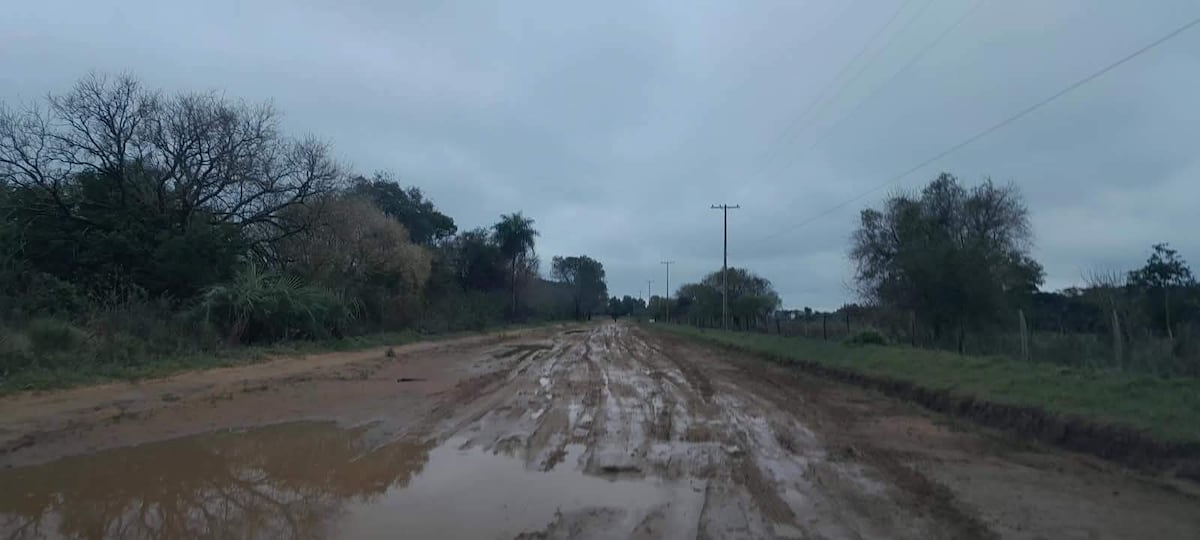 EBY: piden completar camino de Isla Yasyretá con el presupuesto 2027