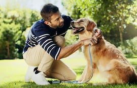 Entrenamiento perruno.