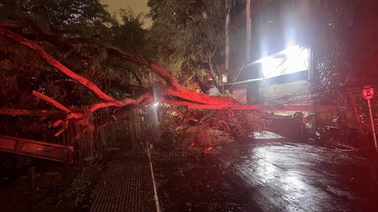Tronco de árbol caído en la calle, pavimento mojado y un edificio iluminado al fondo en un ambiente urbano.