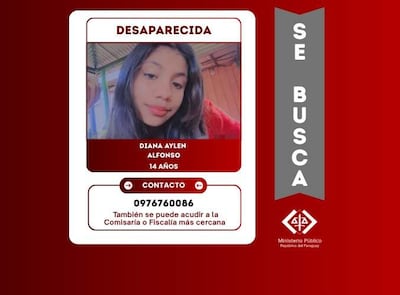 Cartel de búsqueda con fondo rojo, foto de Diana Aylen Alfonso con cabello largo, su nombre y un número de contacto.
