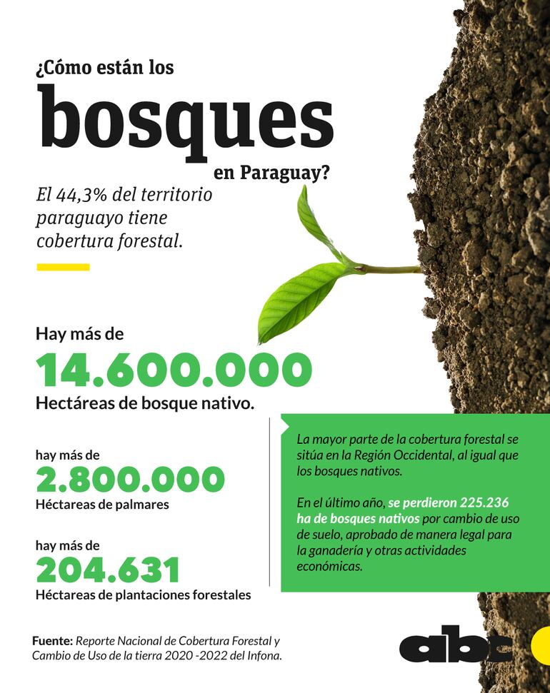 ¿Cómo están los bosques en Paraguay?