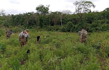 Cultivos ilegales fueron erradicados e incinerados en Nueva Durango.