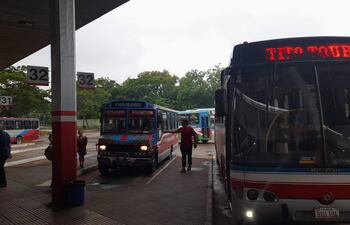 Colectivos listos para salir, en la Estación de Buses de Asunción, en la víspera de las festividades de Caacupé.