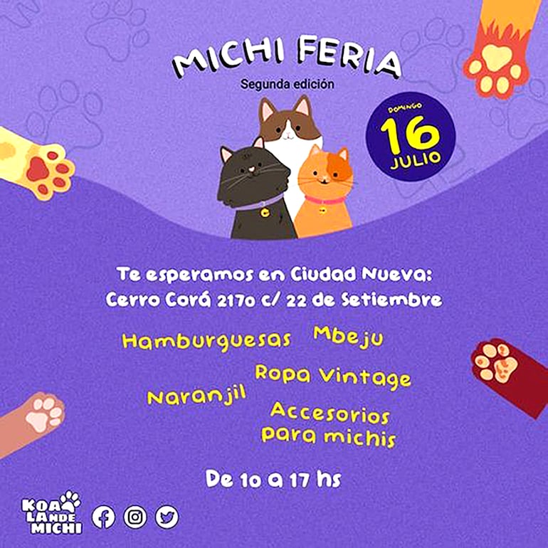 Todo lo recaudado será destinado a los gatitos en situación de calle.