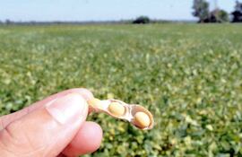 Paraguay, con su fortaleza agrícola y estabilidad macroeconómica, puede transformar esta coyuntura en oportunidad para modernizar su estructura productiva.