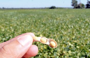 Paraguay, con su fortaleza agrícola y estabilidad macroeconómica, puede transformar esta coyuntura en oportunidad para modernizar su estructura productiva.