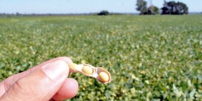 Paraguay, con su fortaleza agrícola y estabilidad macroeconómica, puede transformar esta coyuntura en  oportunidad para modernizar su estructura productiva.