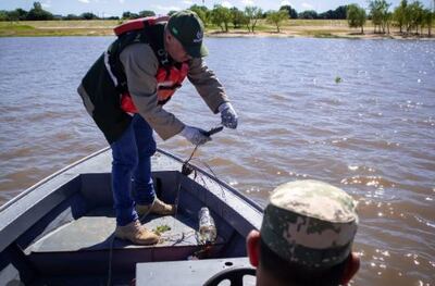 Mades realiza controles y encuentra irregularidades en Pilar.