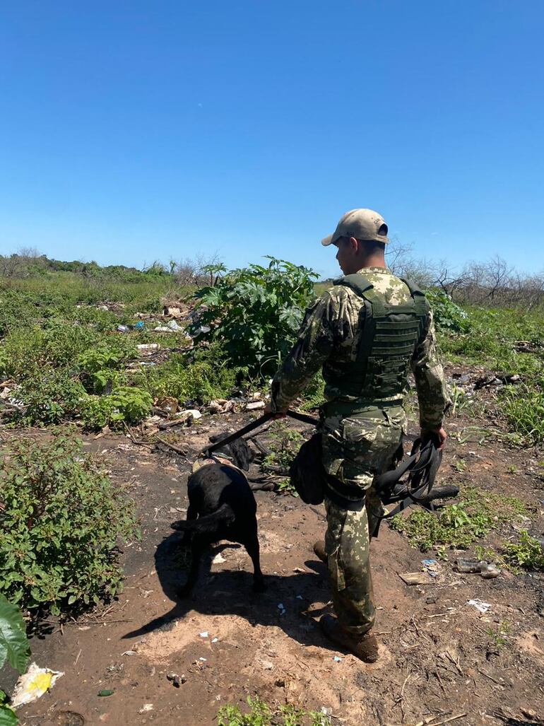 Acompañados de canes de rescate también buscaron por tierra.