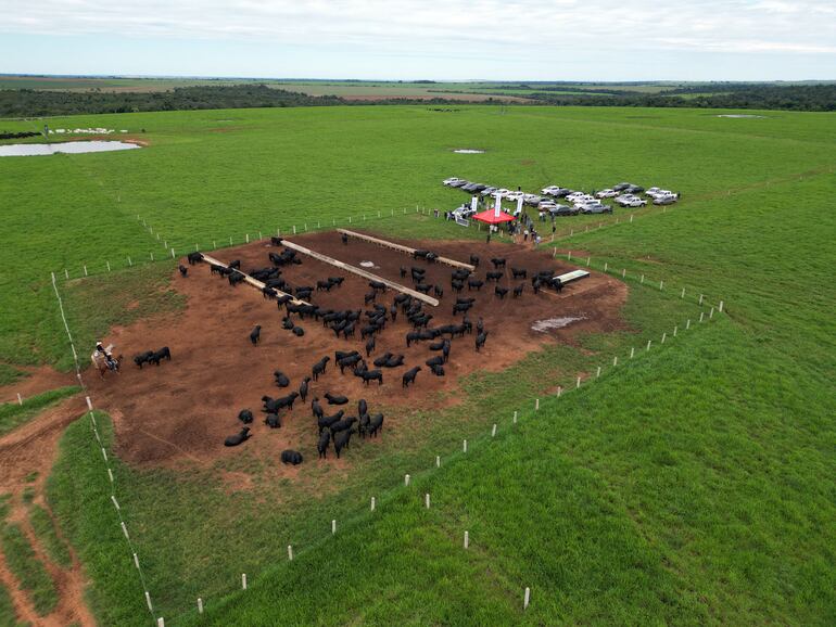 Imagen sin descripción