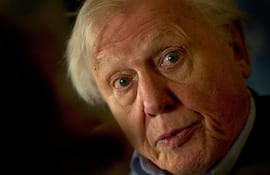 Fotografía de archivo: el locutor y biólogo británico David Attenborough habla durante una entrevista en un evento para celebrar el centenario de la Expedición Antártica de Scott, con el lanzamiento de “Los cuadernos antárticos de Edward Wilson”, en Londres el 17 de noviembre de 2011.