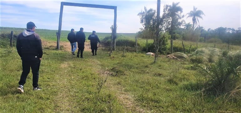 Los intervinientes de la Brigada de Lucha contra el Abigeato, sospechas que el capataz estaría involucrado en el hecho de faenamiento de los animales de sus patrones.