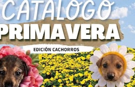 Dos cachorros miran a la cámara, uno con diadema de flores rosas y otro con flores blancas, sobre un fondo de flores amarillas.