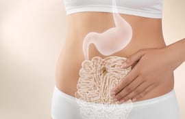 Concepto de digestión.