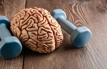 Concepto de cerebro activo.