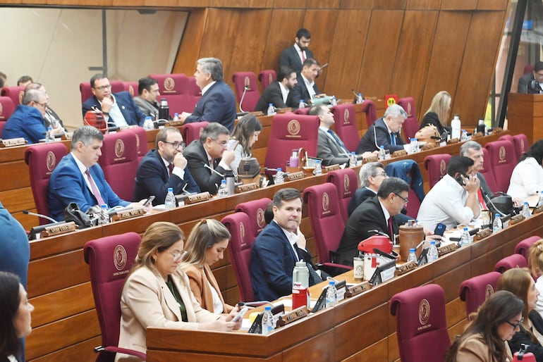 Cartistas y aliados rechazan interpelación del titular y gerente de salud del IPS