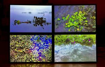 La fotógrafa estadounidense Francene Keery exhibe sus imágenes como esculturas lumínicas en la Galería Artística.