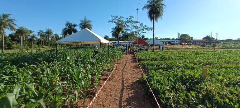 Los estudiantes pusieron en práctica lo aprendido en el aula, mostrando sus habilidades y avances.