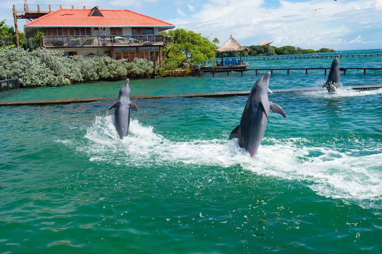 Islas del Rosario en Cartagena, Colombia.