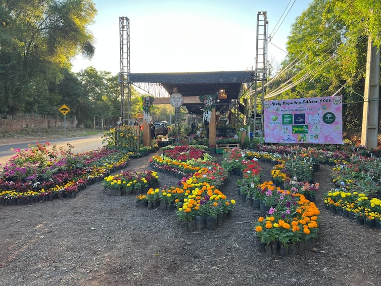 Expoferia Yvoty Rape: flores, colores y una gran variedad de plantas y artesanías se combinan para ofrecer a los visitantes una atractiva propuesta en Cabañas, Caacupé.
