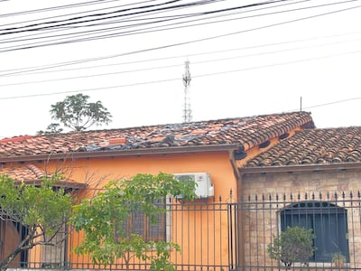 Vista de casa de un piso con techo a dos aguas y fachada naranja, rodeada de plantas y un árbol en un ambiente tranquilo.