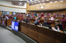 Sesión del Senado. Foto de Prensa del Senado.