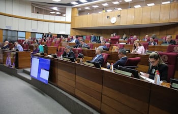 Sesión del Senado. Foto de Prensa del Senado.