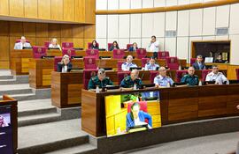 Altas autoridades militares en la reunión conjunta de la comisión de Asuntos Constitucionales y de la Comisión de Relaciones Exteriores del Senado.