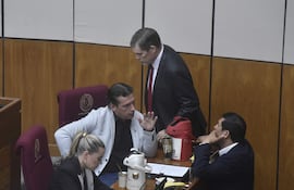 Sesion de la camra del senado en el congreso nacional
08 de Abril de 2026