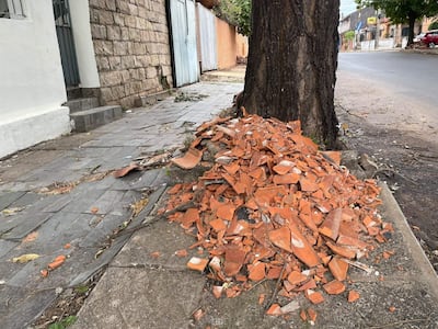 Montículo de cerámica naranja en la acera junto a un árbol en un entorno urbano desordenado.