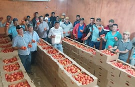 Los productores de Coronel Oviedo tienen 15 mil kilos de tomates sin poder vender.
