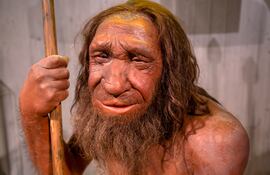 Dusseldorf, Alemania, Museo Neanderthal.