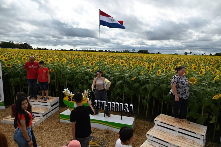 Los responsables del cultivo crearon espacio para los visitantes. 