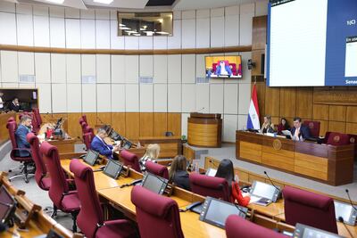 La fiscal adjunta Soledad Machuca respondió las consultas de los senadores y diputados miembros de la comisión "antilavado".