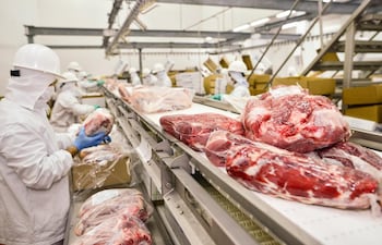 Auditores de Egipto vendrán próximamente a Paraguay para renovar la habilitación a frigoríficos para la exportación de carne bovina a éste mercado. (Foto de archivo).