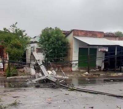Caídas de árboles y postes dejan sin energía a miles a varias zonas del área metropolitana,