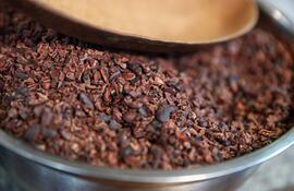 El árbol del cacao (Theobroma cacao), cuyos granos se utilizan para elaborar productos como el chocolate, el licor y la manteca de cacao, podría haberse extendido desde la cuenca del Amazonas a otras regiones de Sudamérica y Centroamérica hace al menos 5.000 años a través de rutas comerciales.